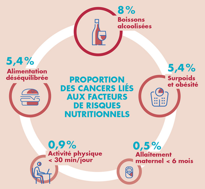 L'alimentation : un facteur de risque pour le cancer de la prostate