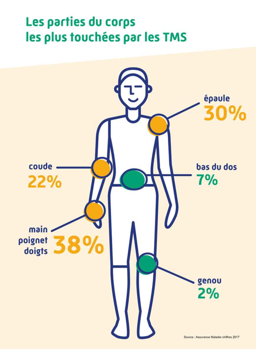 Les parties du corps touchées par les TMS