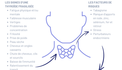 thyroïde